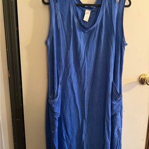 Livi Active Blue Sleeveless Dress